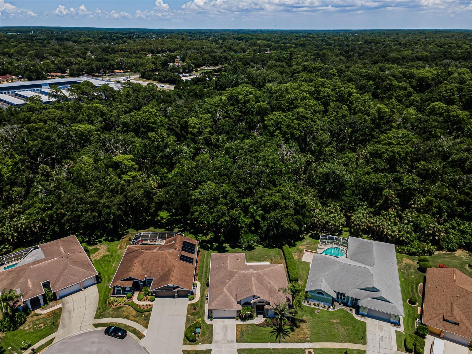6646 GARDEN PALM CT — photo 6