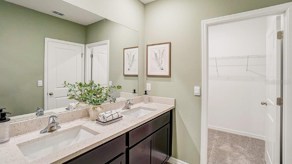 31223 PAPER BIRCH ST — photo 12