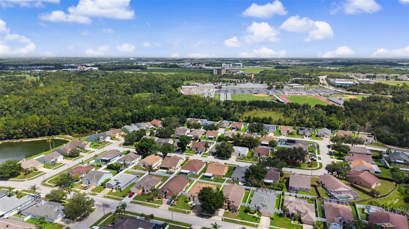 29641 FOG HOLLOW DR — photo 43