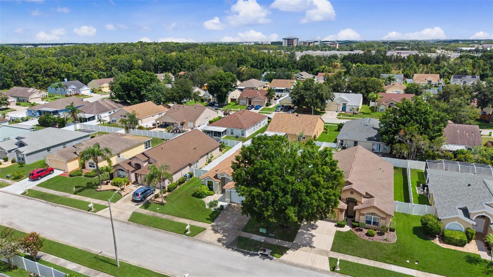 29641 FOG HOLLOW DR — photo 38