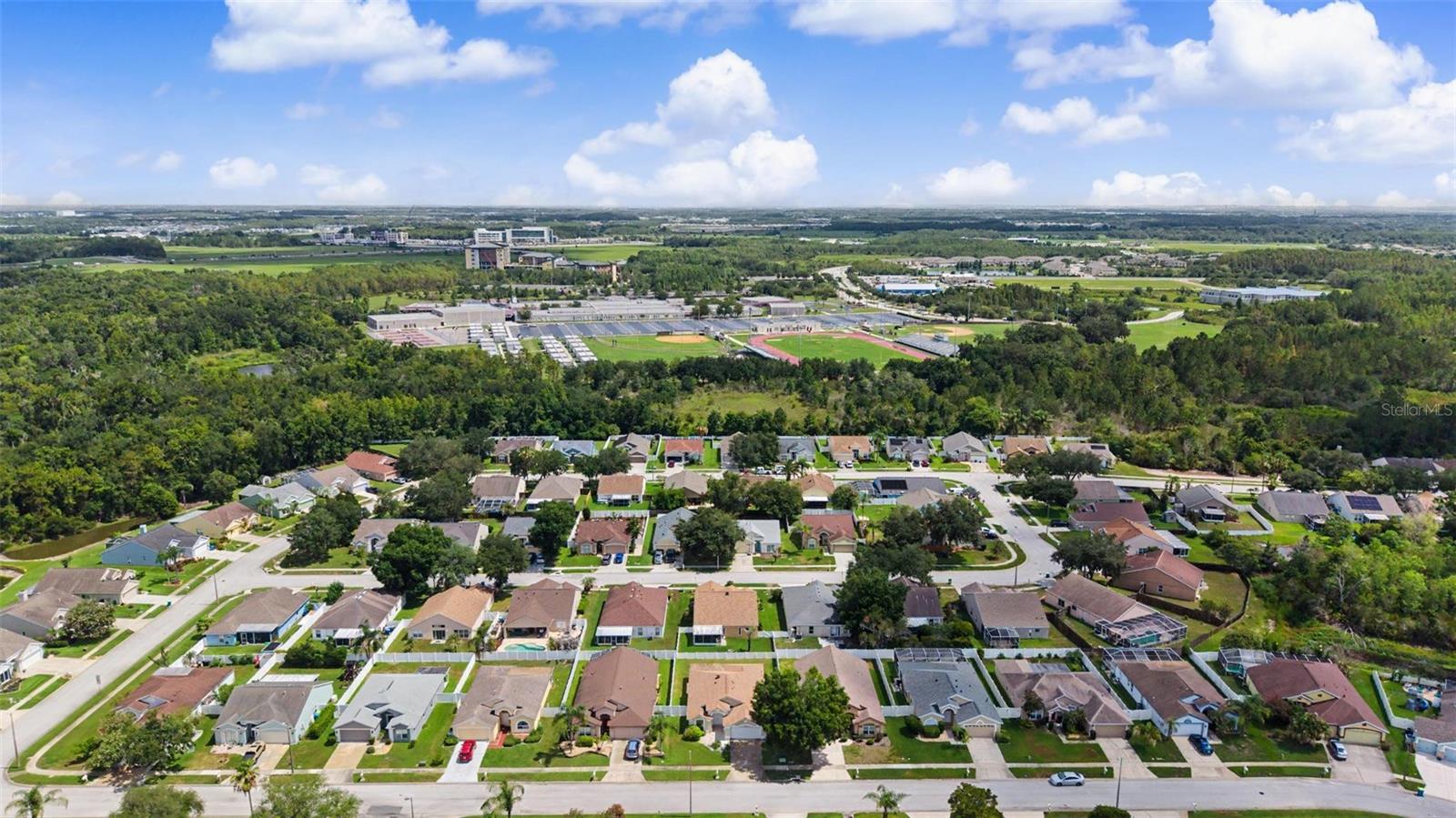 29641 FOG HOLLOW DR — photo 42