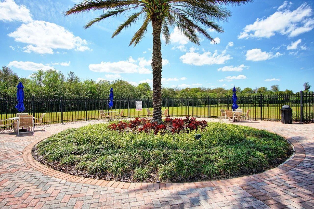 11619 IRIS SPRING CT — photo 35
