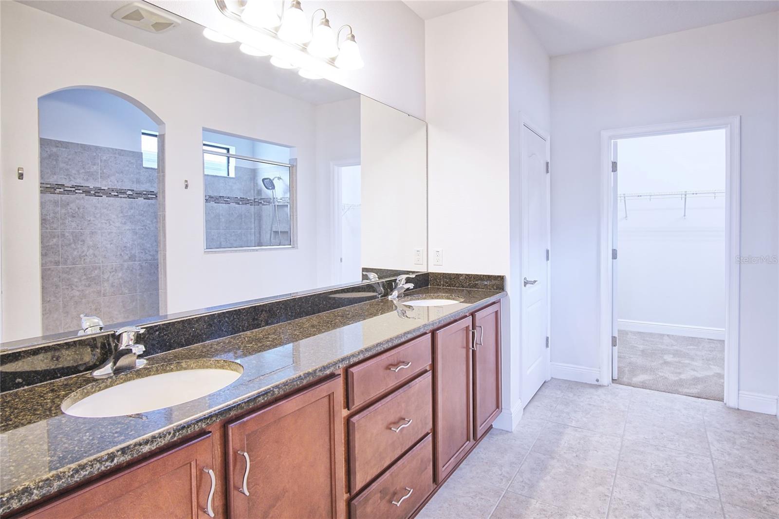 11619 IRIS SPRING CT — photo 23