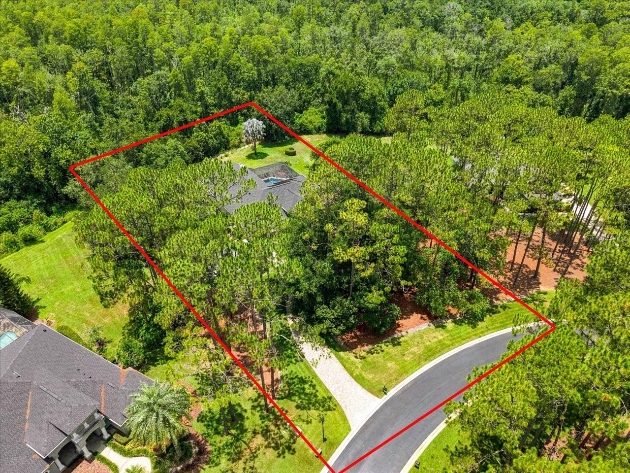 418 PINE BLUFF DR — photo 2