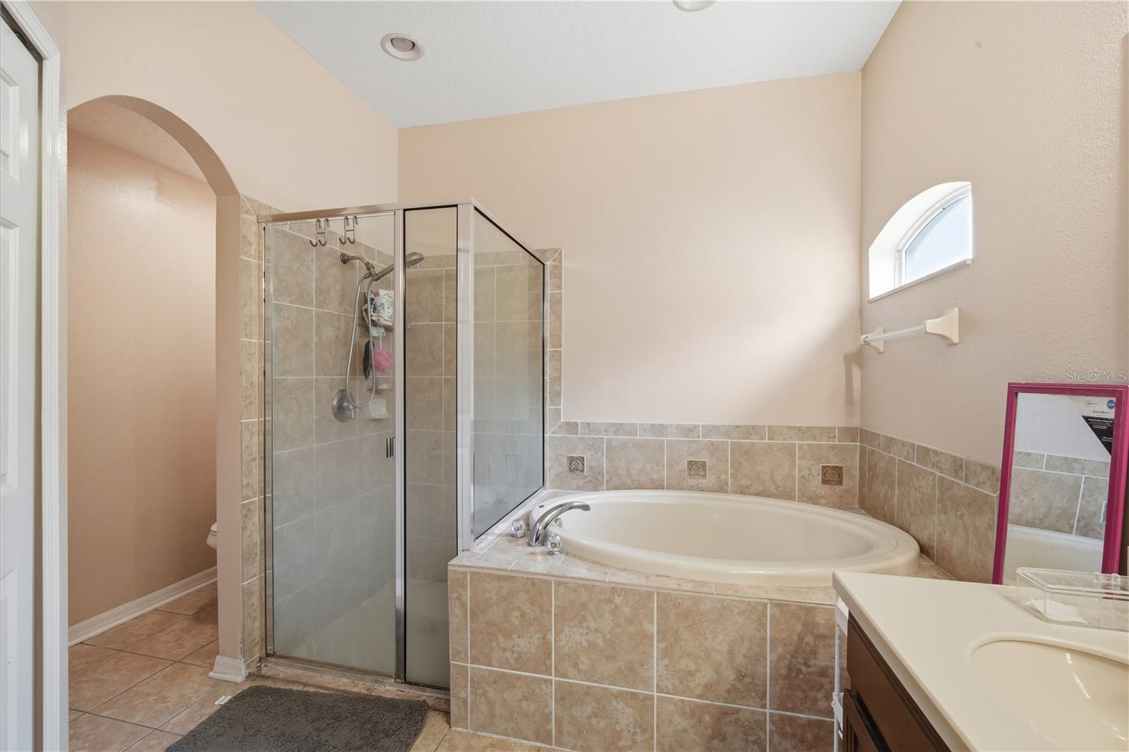 9821 JASMINE BROOK CIR — photo 19