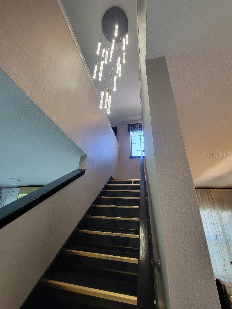 12854 BOGGY CREEK DR — photo 14