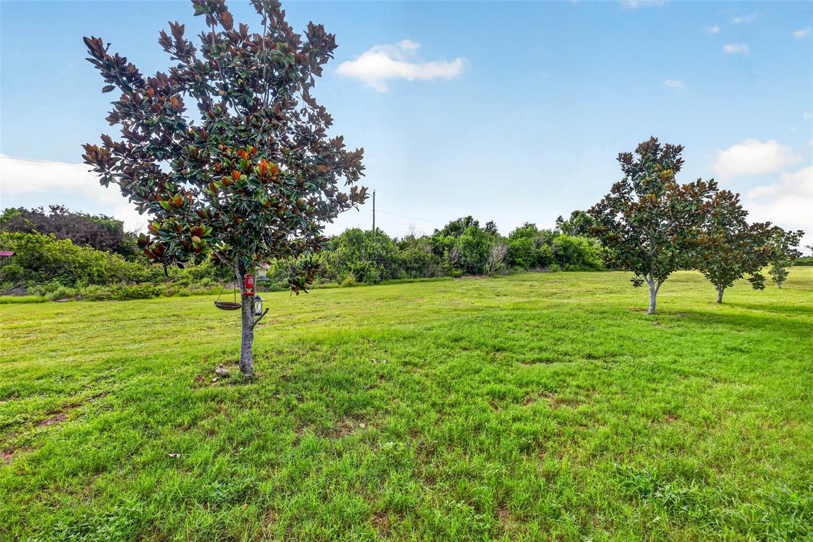 11514 LELAND GROVES DR — photo 36