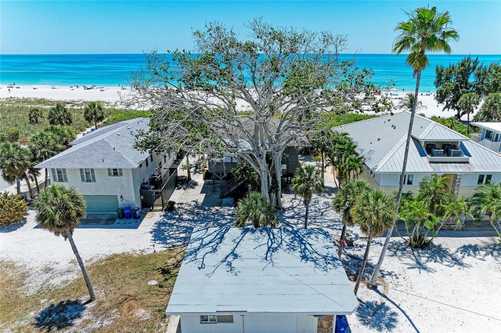 102 PALMETTO AVE — photo 4