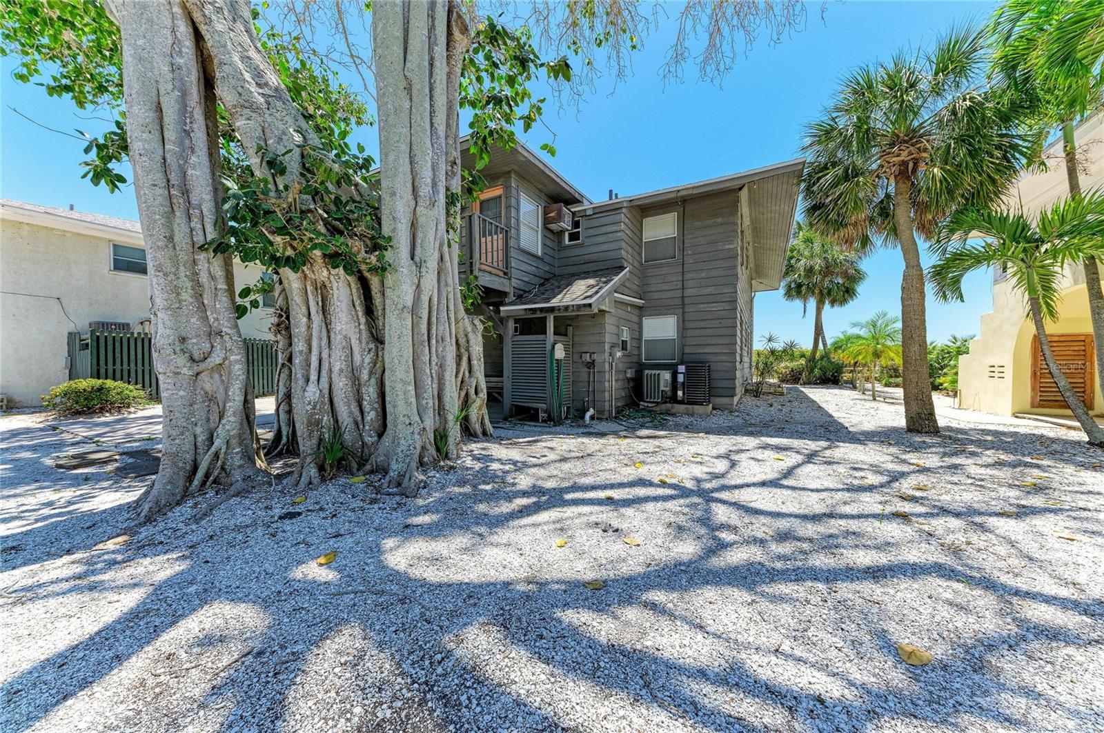 102 PALMETTO AVE — photo 5