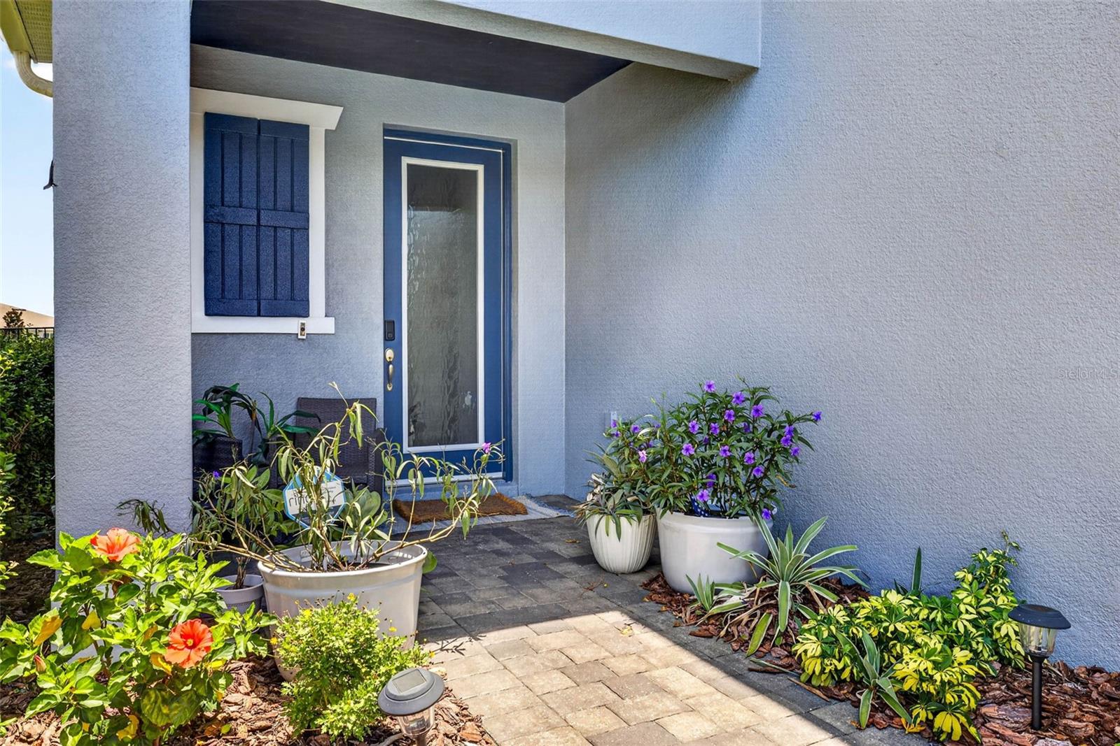 34117 WHITE FOUNTAIN CT — photo 3
