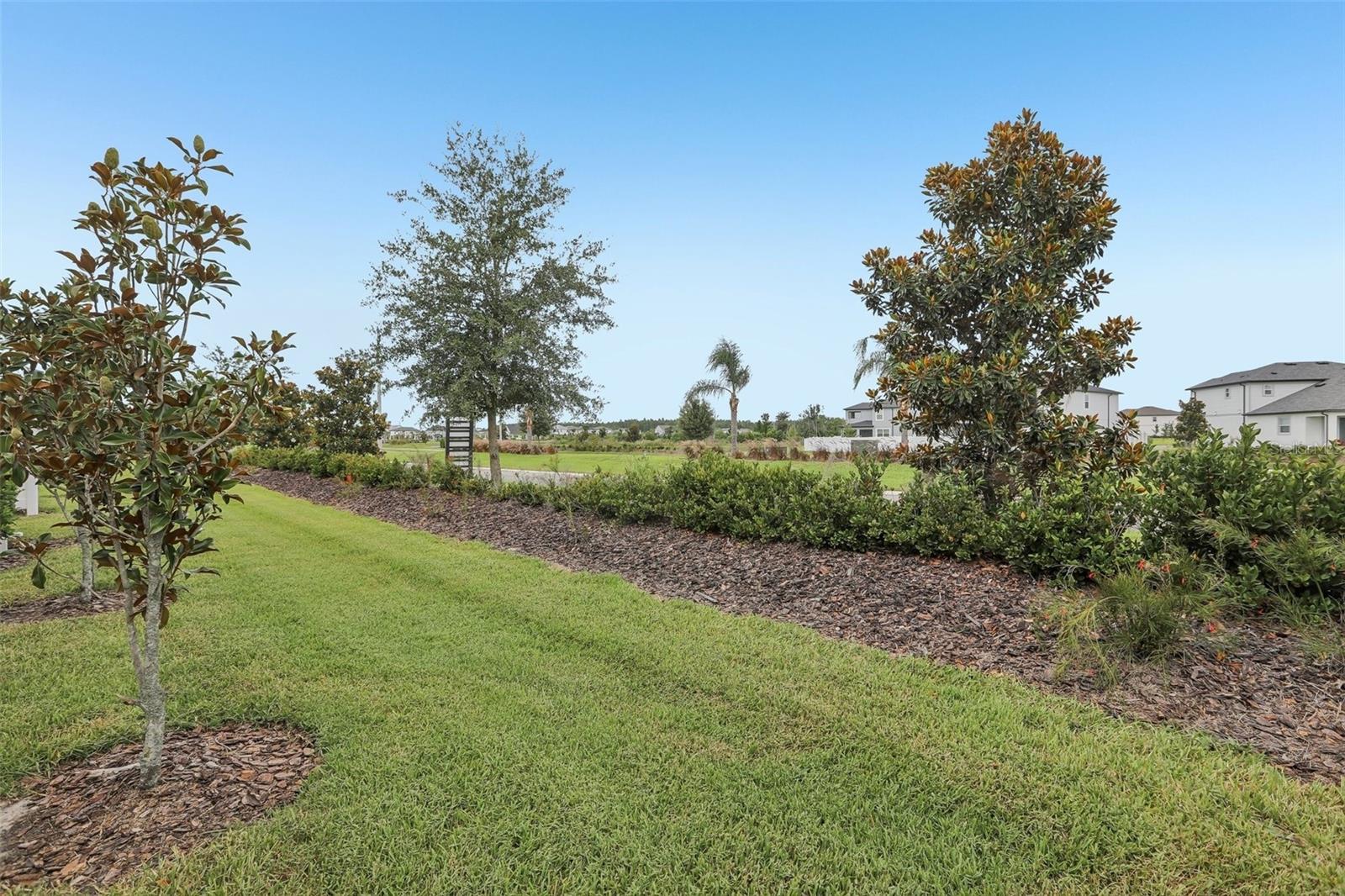 31337 AMBERVIEW BND — photo 20