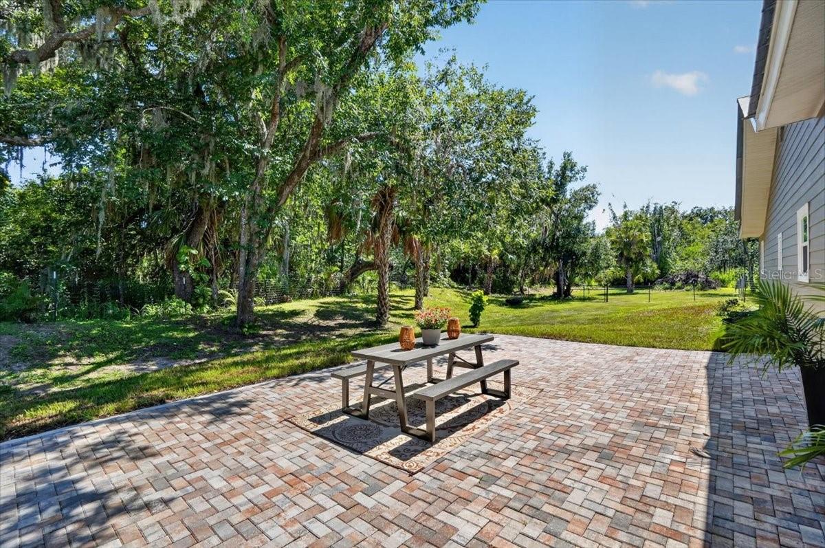 11740 DARSEY RD — photo 47