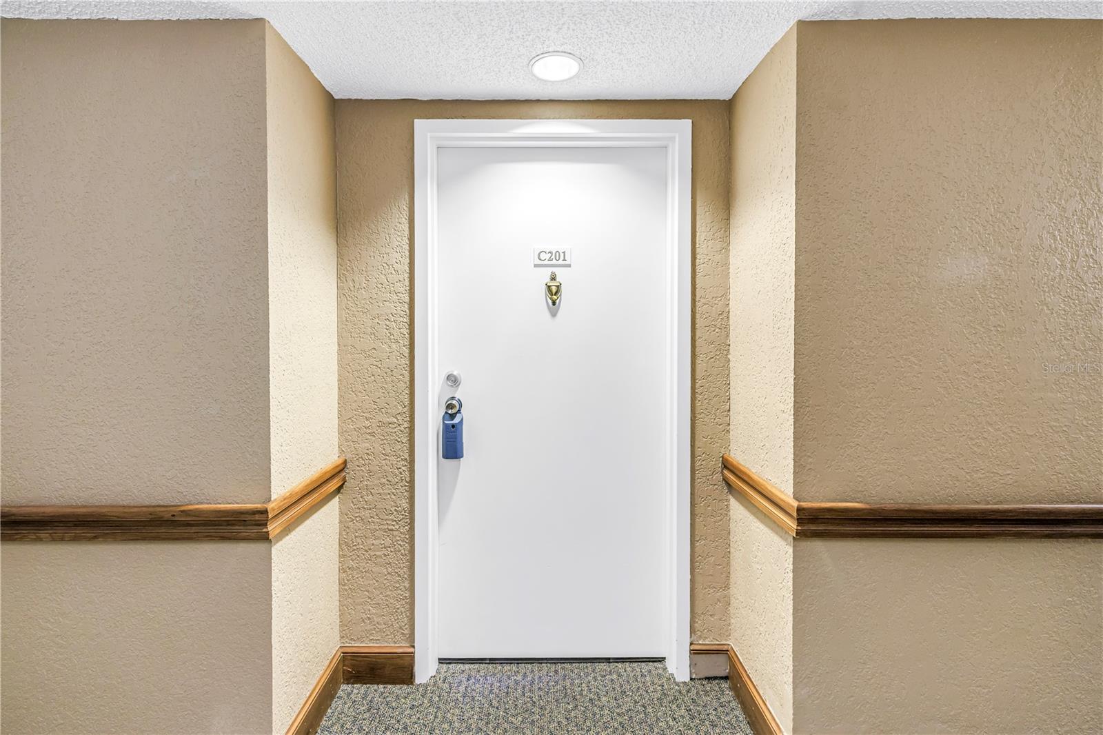 2333 FEATHER SOUND DR #C201 — photo 23