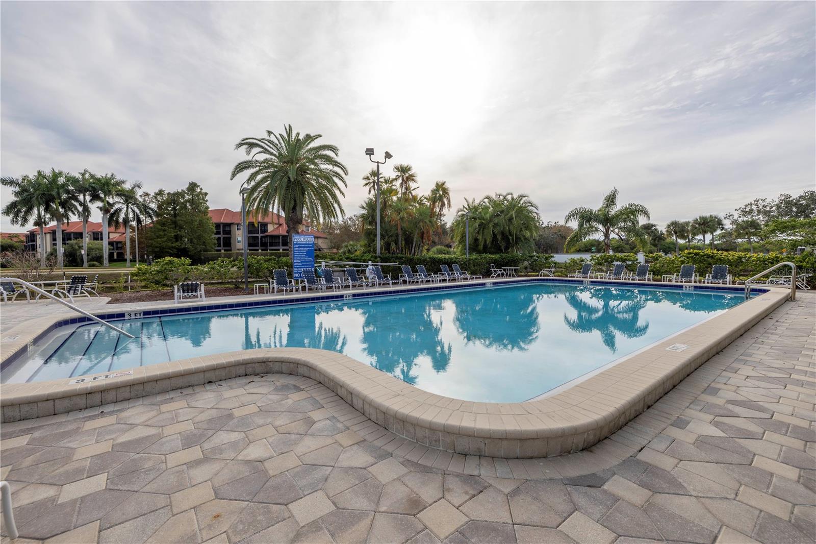 2333 FEATHER SOUND DR #C201 — photo 45