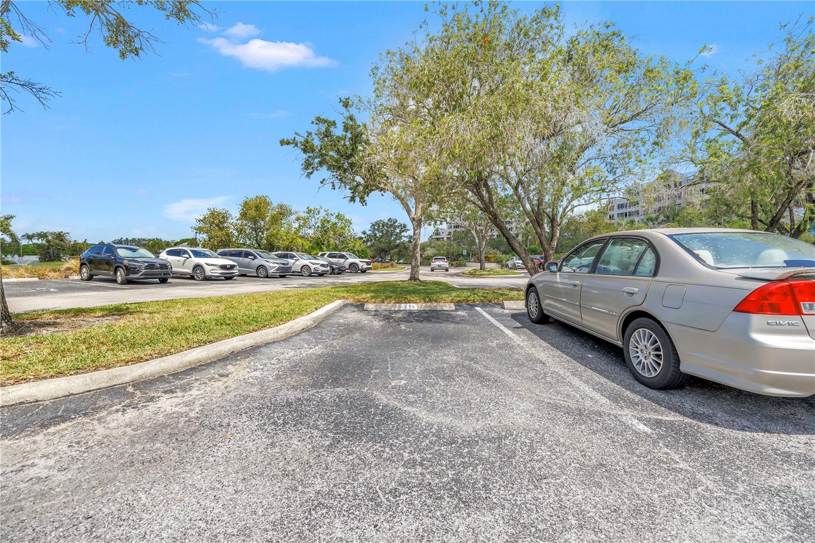 2333 FEATHER SOUND DR #C201 — photo 25
