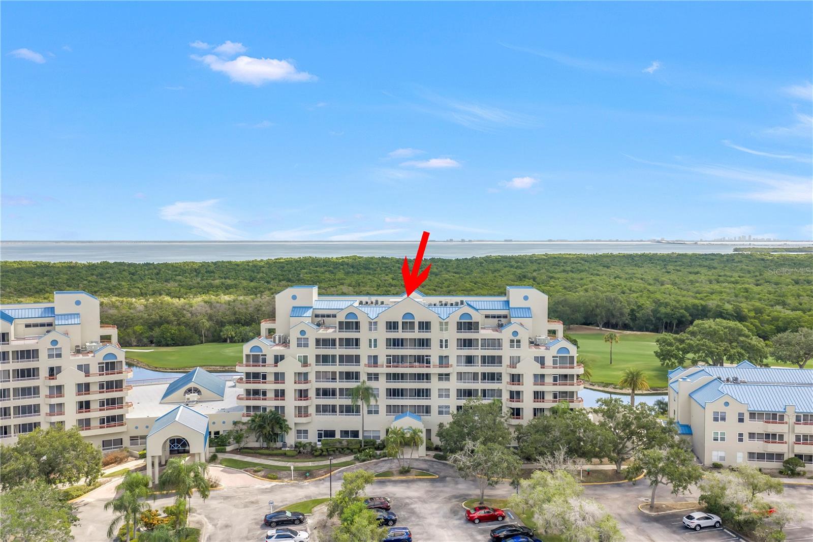 2333 FEATHER SOUND DR #C201 — photo 51