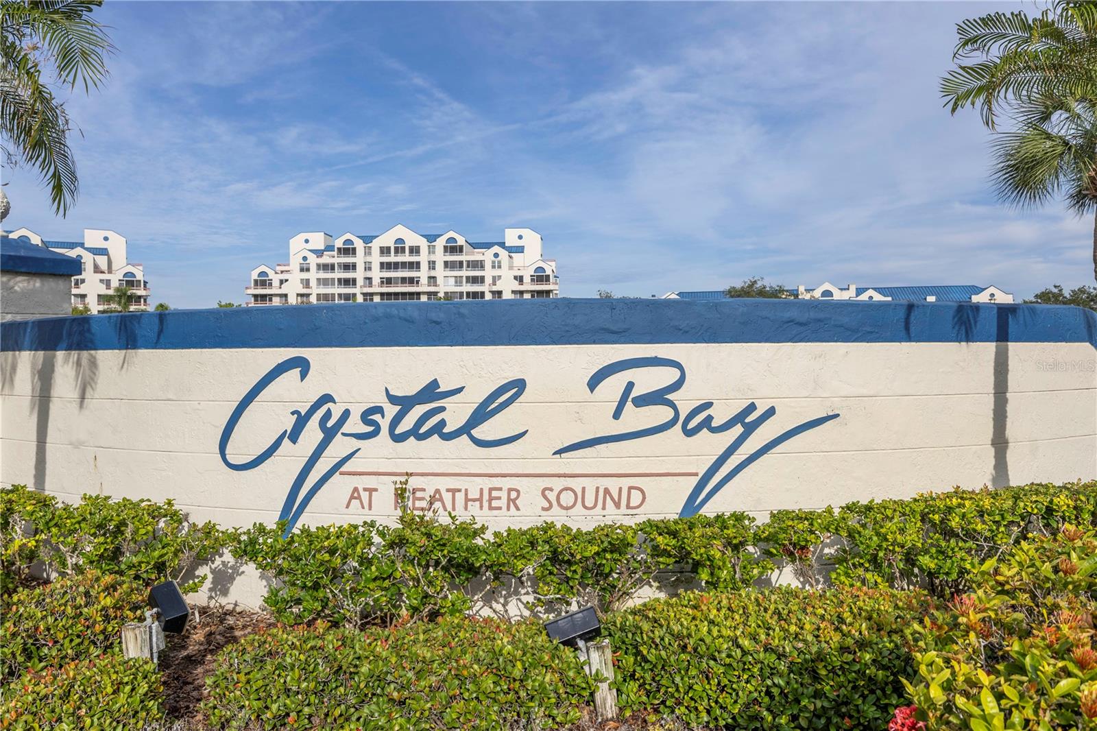 2333 FEATHER SOUND DR #C201 — photo 49