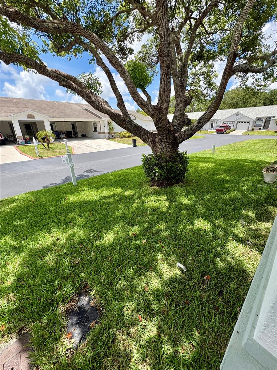 9221 ESTRADA PL — photo 2