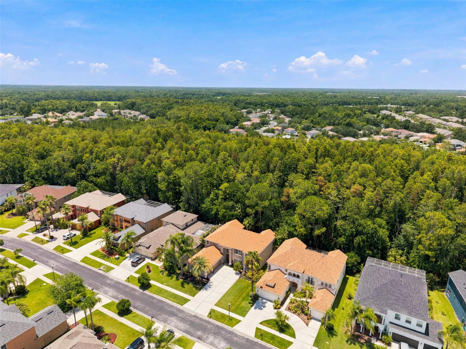 3449 LOGGERHEAD WAY — photo 46