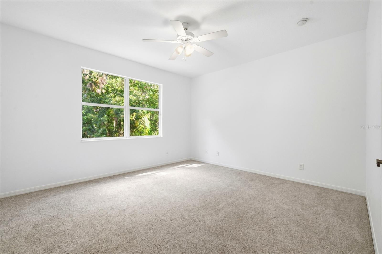 3449 LOGGERHEAD WAY — photo 27