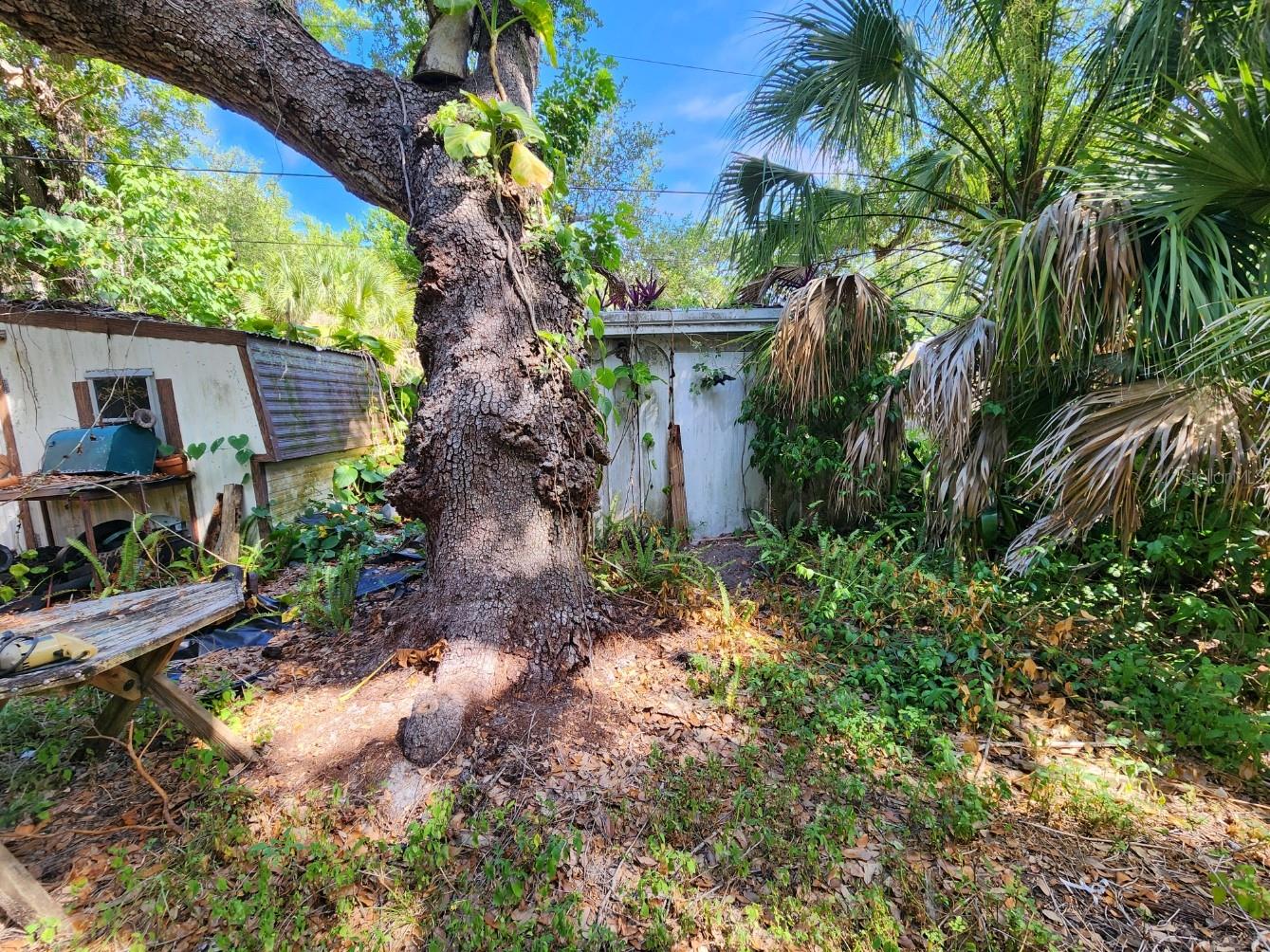 SHAMROCK DR — photo 11