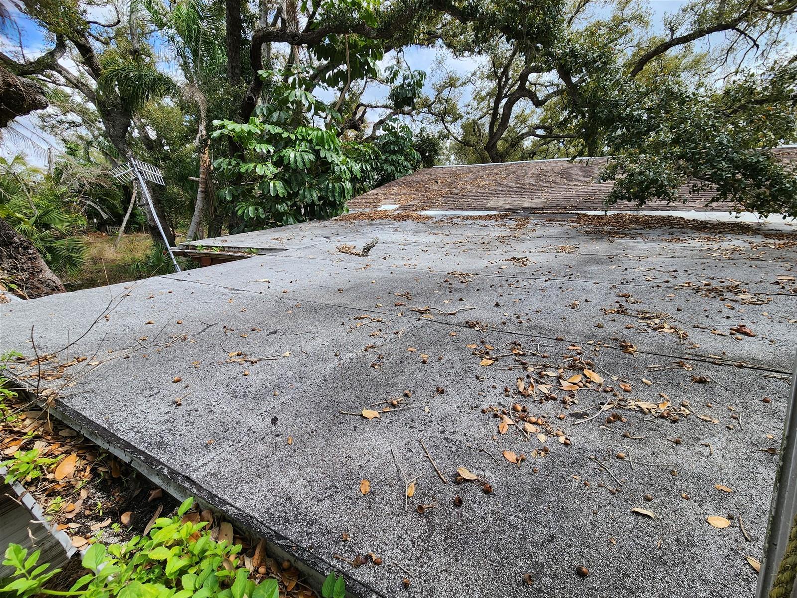 SHAMROCK DR — photo 21