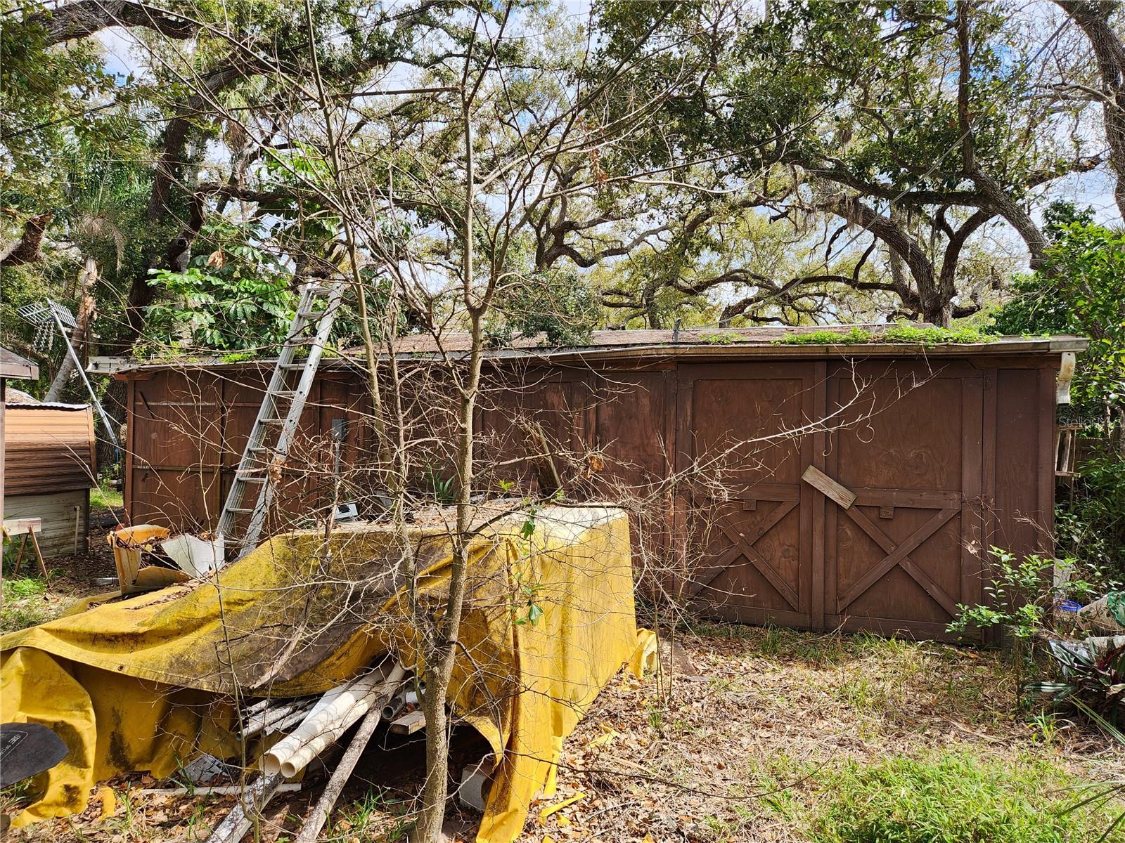 SHAMROCK DR — photo 20