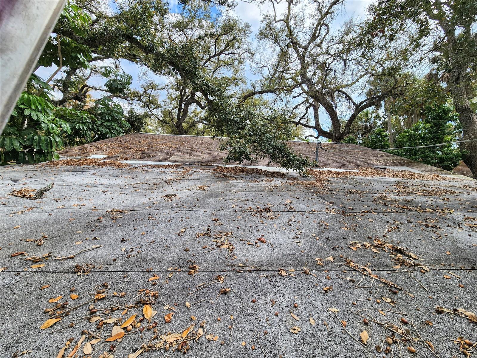 SHAMROCK DR — photo 23