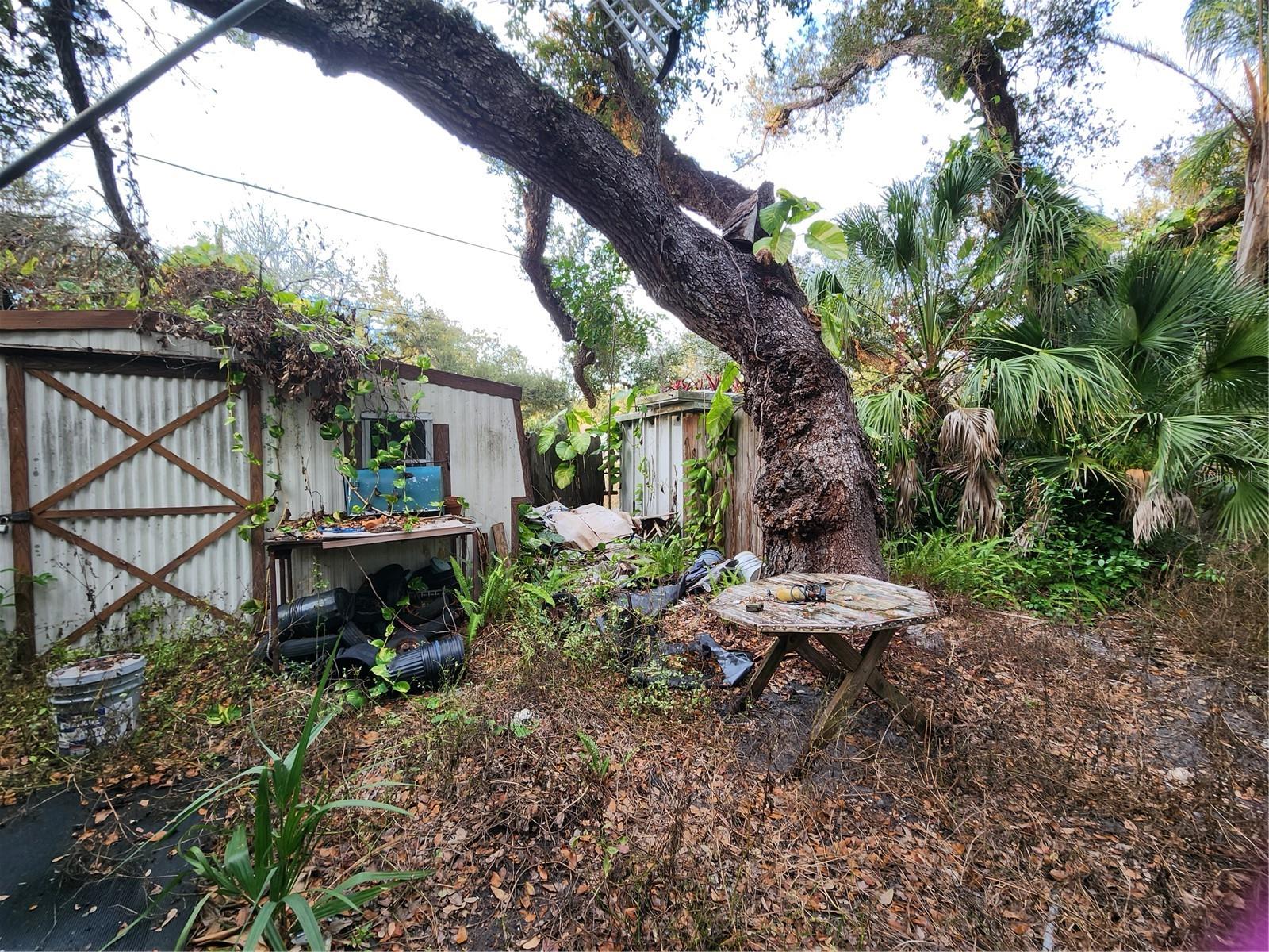 SHAMROCK DR — photo 41