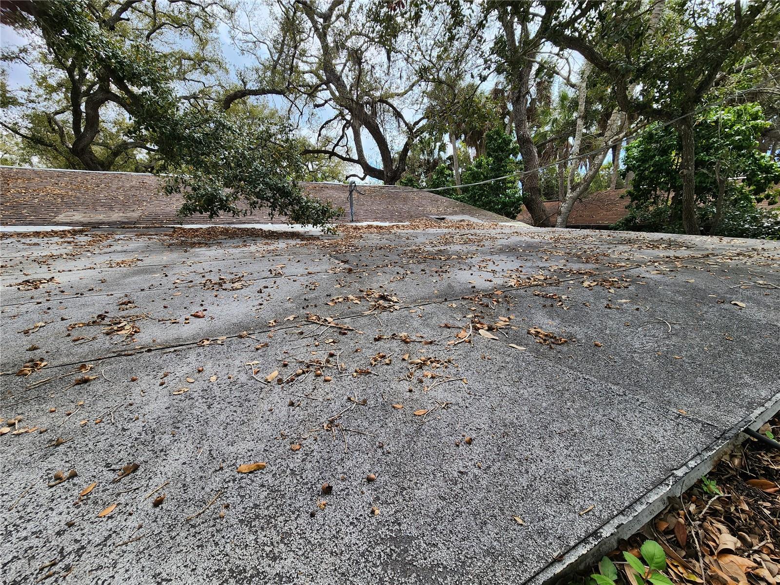 SHAMROCK DR — photo 22