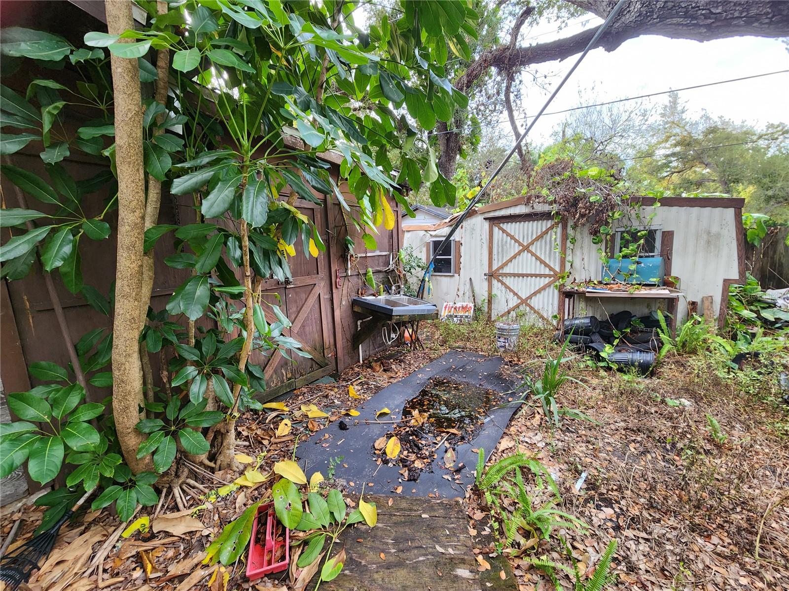 SHAMROCK DR — photo 37
