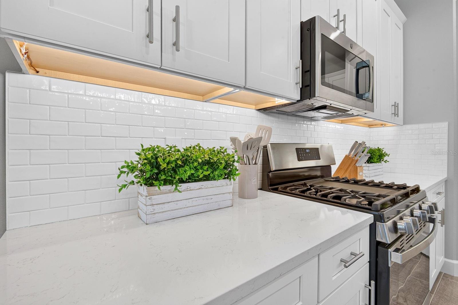 10924 WICKER PARK PL — photo 53