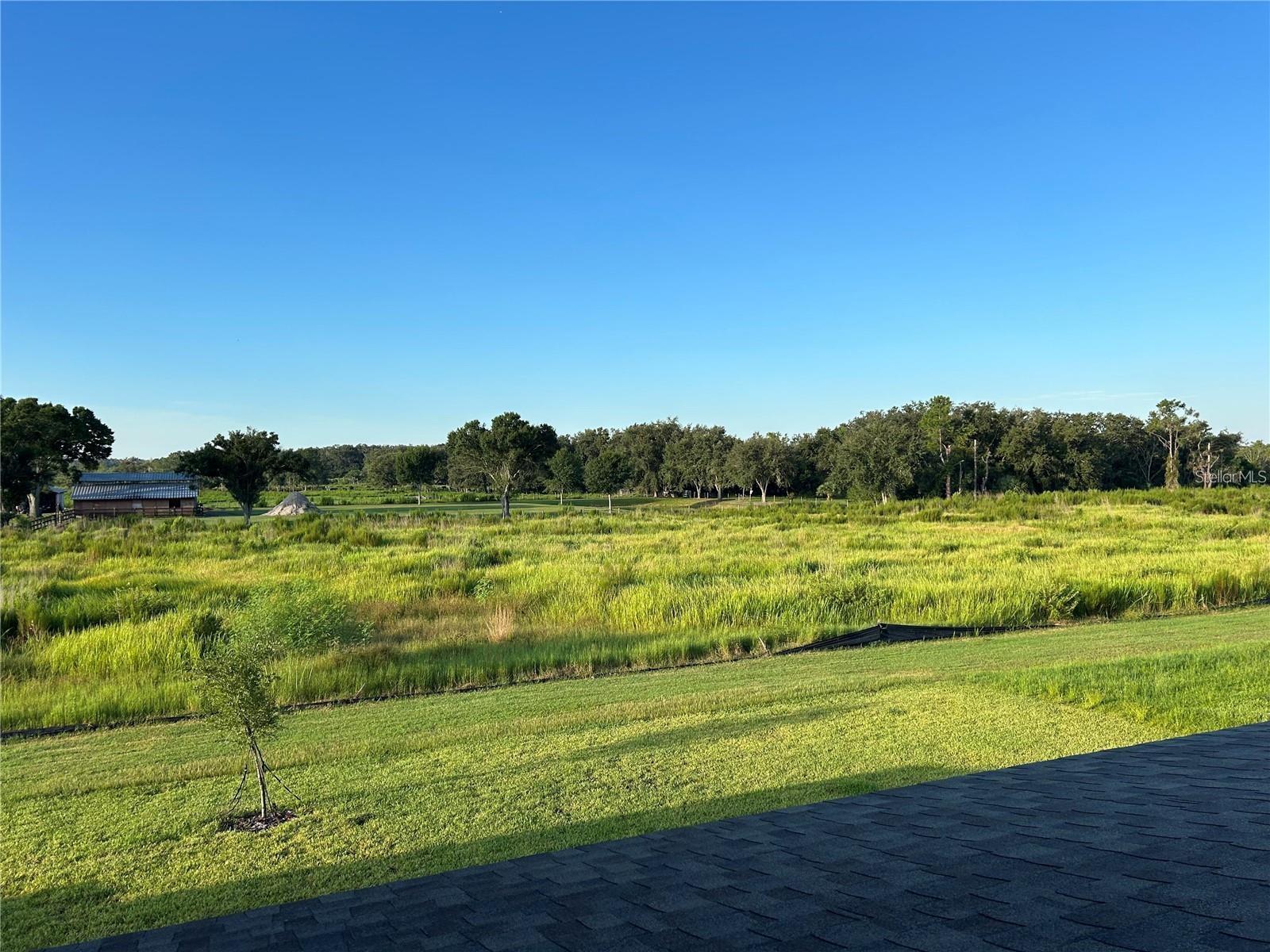 13150 WELLSPRING DR — photo 37