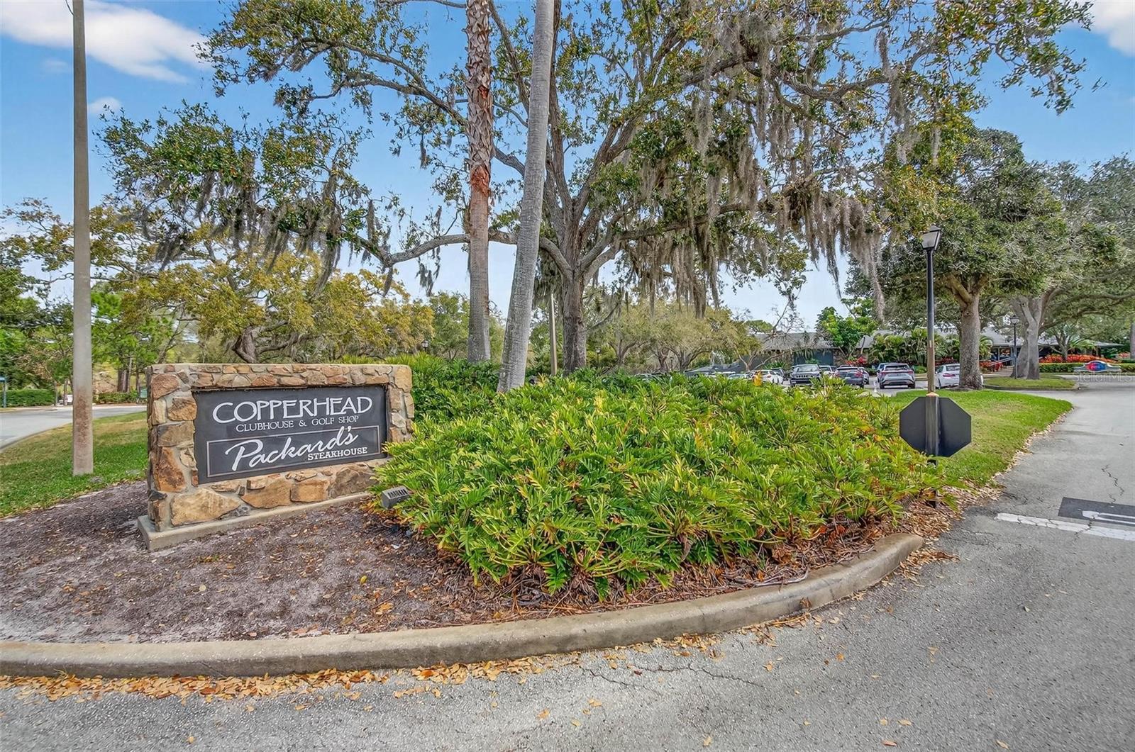 203 DRIFTWOOD DR W — photo 41