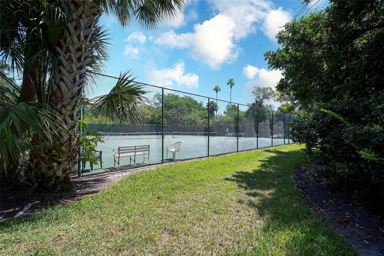 123 WILD PALM DR #123 — photo 38