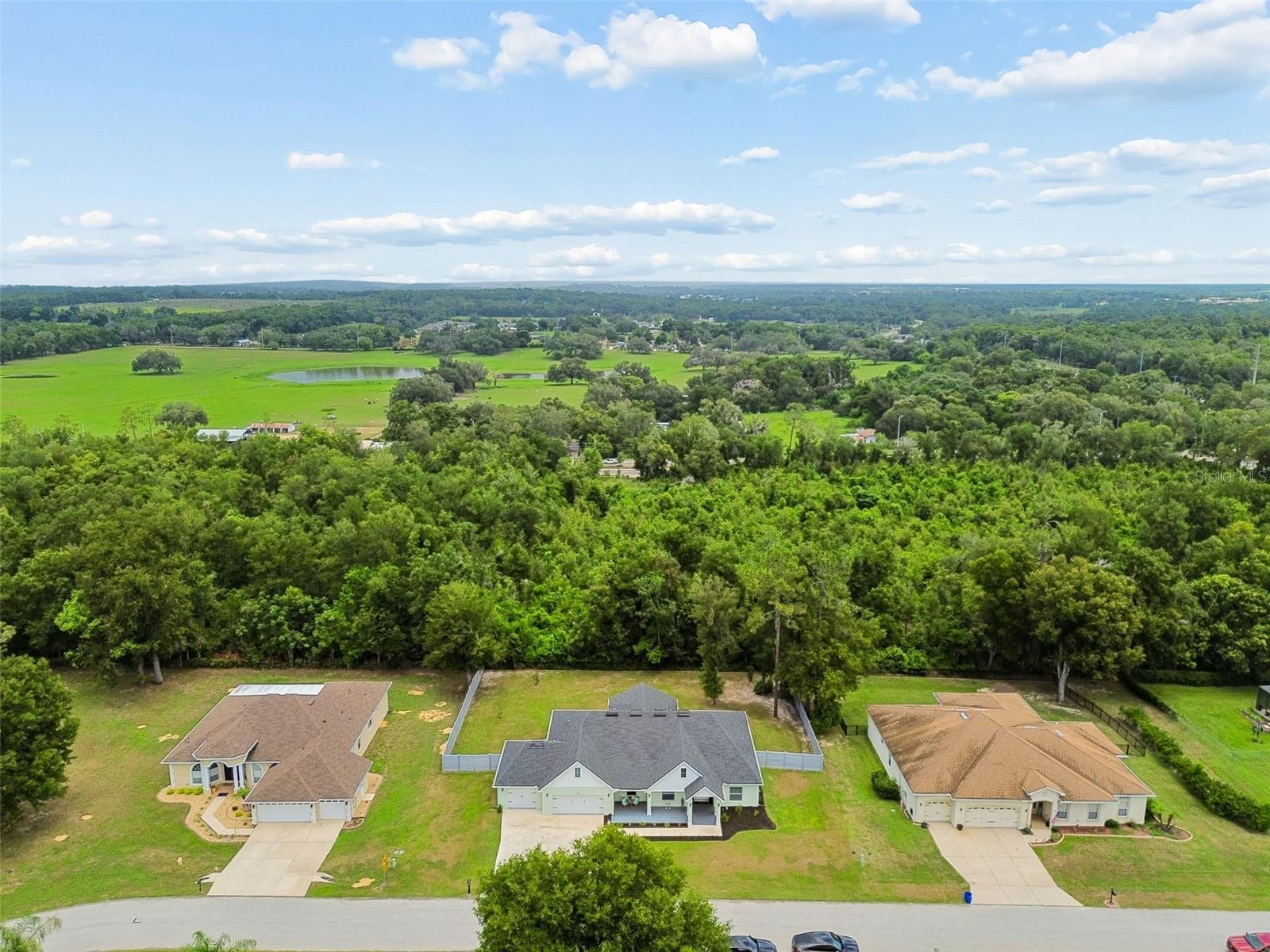 36811 SUMMERS RIDGE DR — photo 49