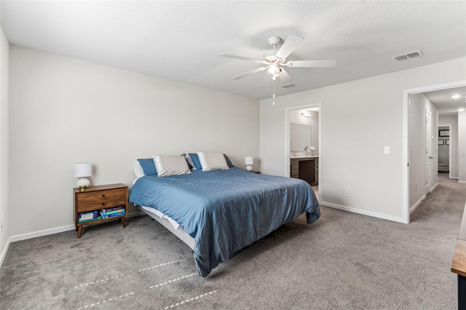 31357 AMBERVIEW BND — photo 22