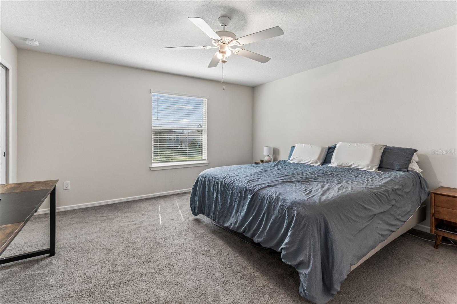 31357 AMBERVIEW BND — photo 21