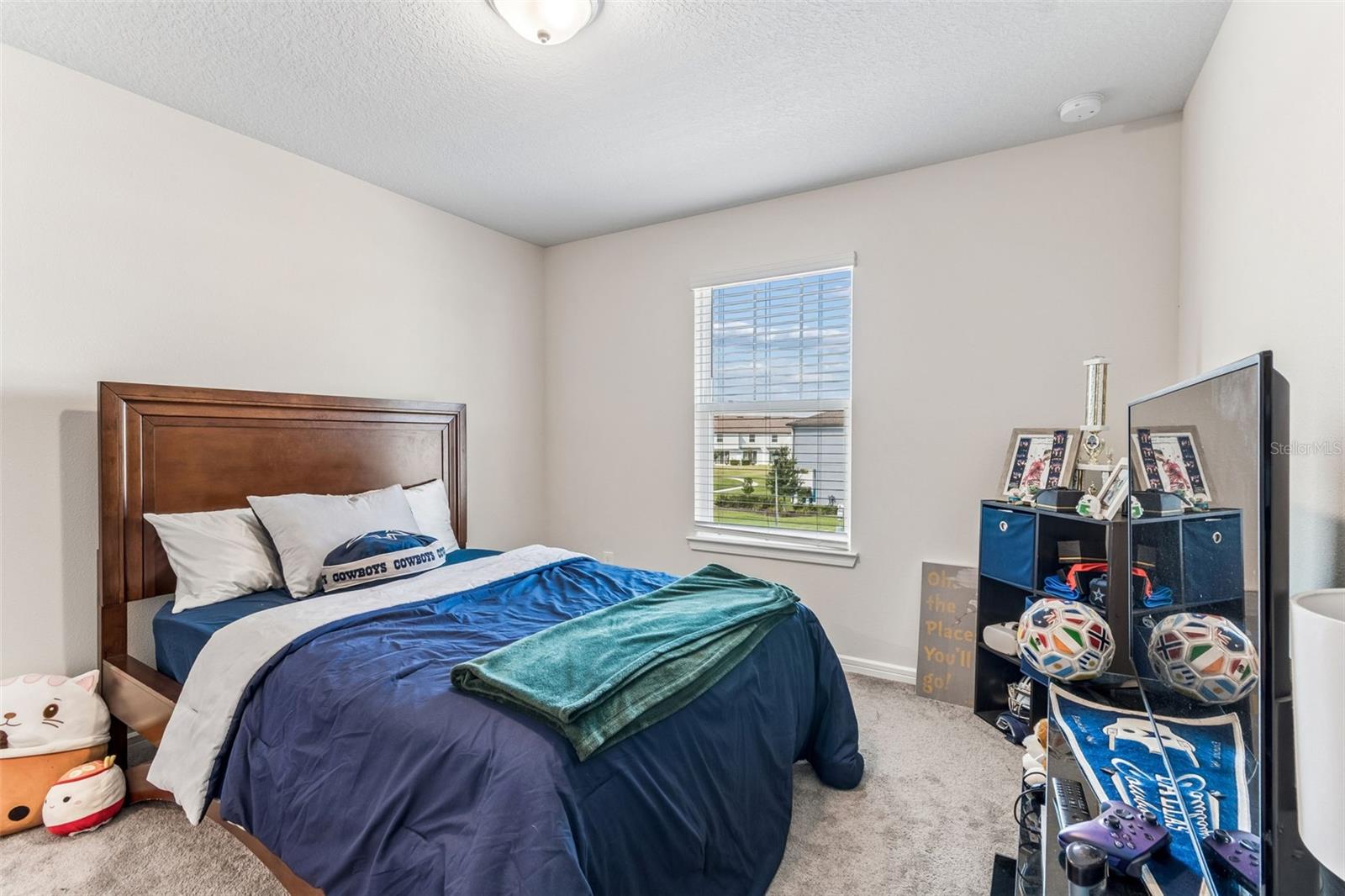 31357 AMBERVIEW BND — photo 20