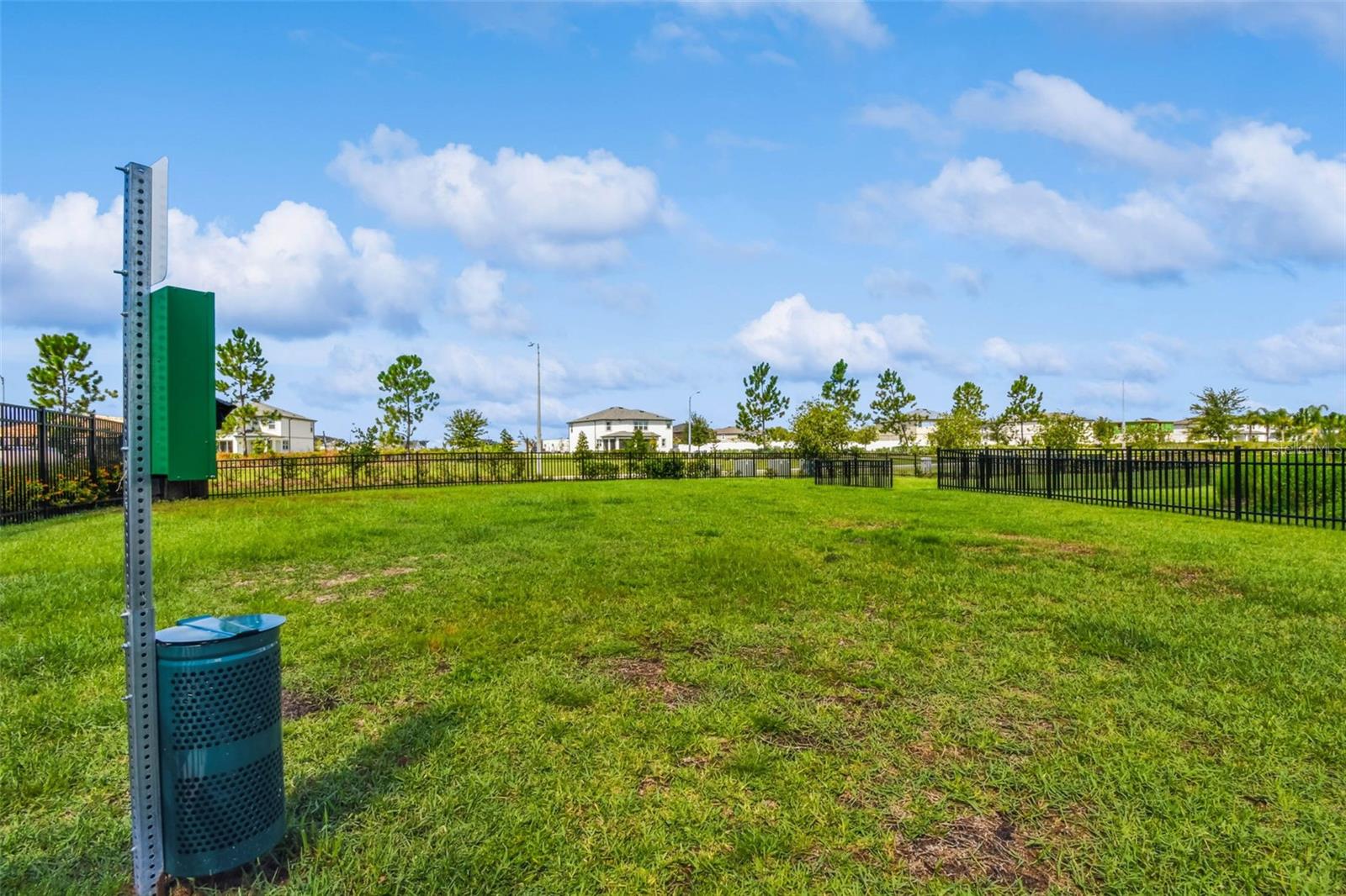31357 AMBERVIEW BND — photo 61
