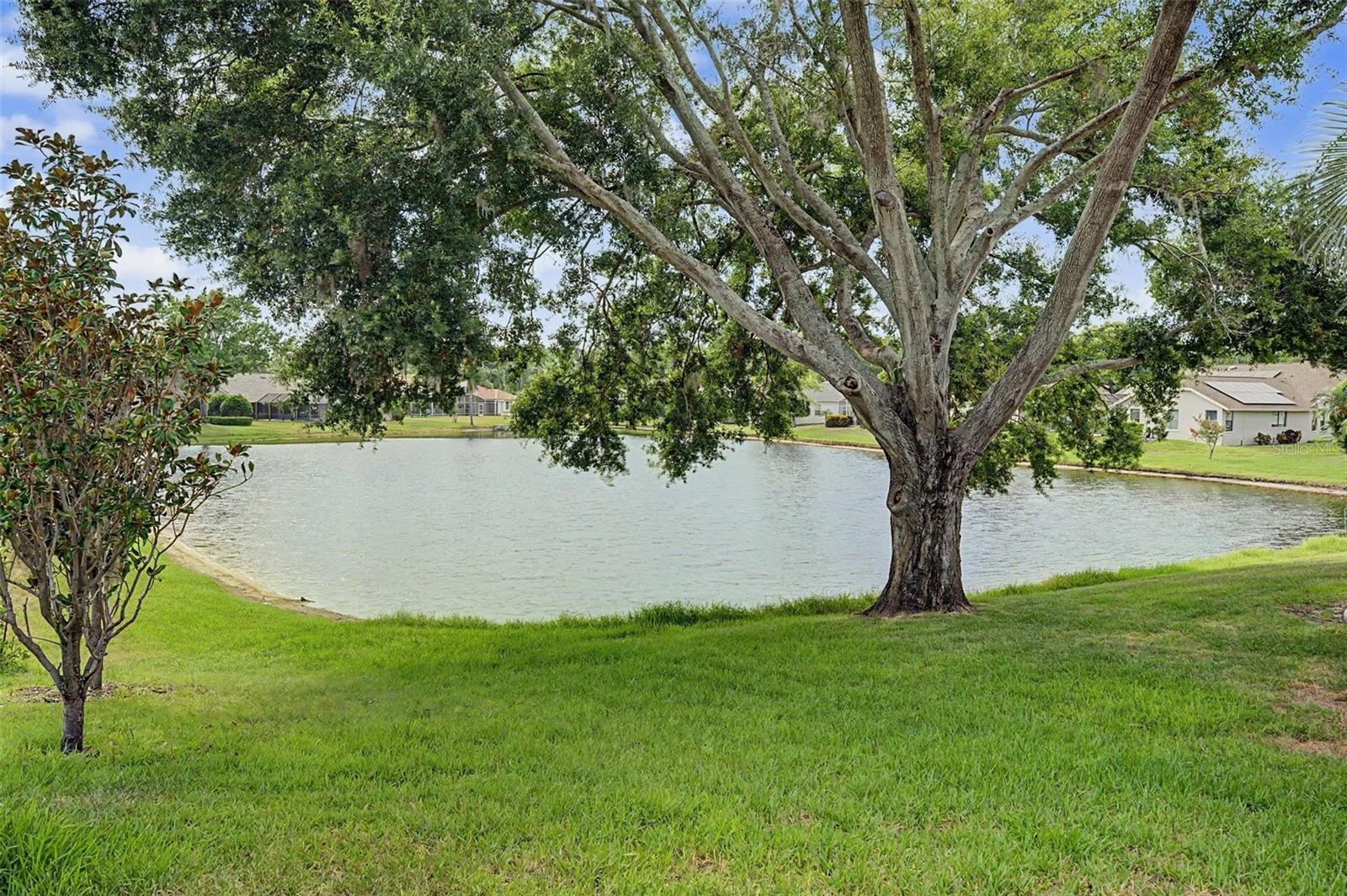 3781 EXECUTIVE DR — photo 53