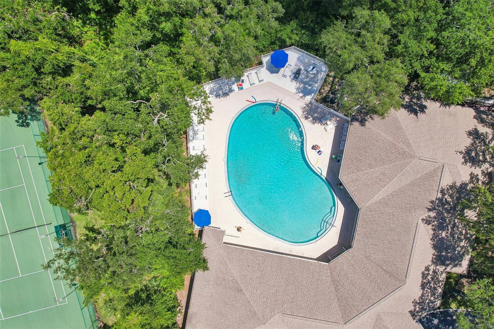 34842 TEEVIEW LN — photo 37