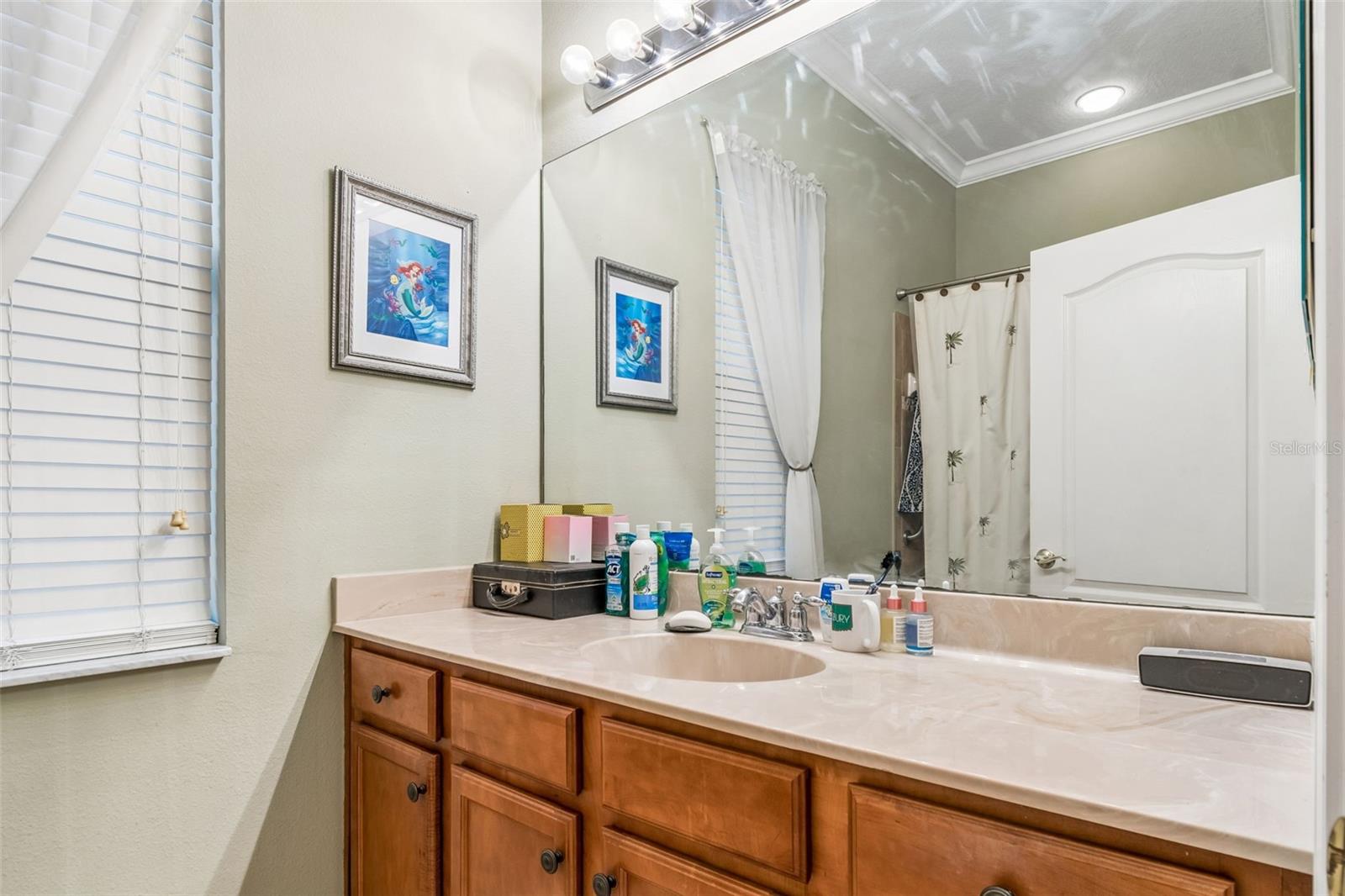 23305 GRACEWOOD CIR — photo 34