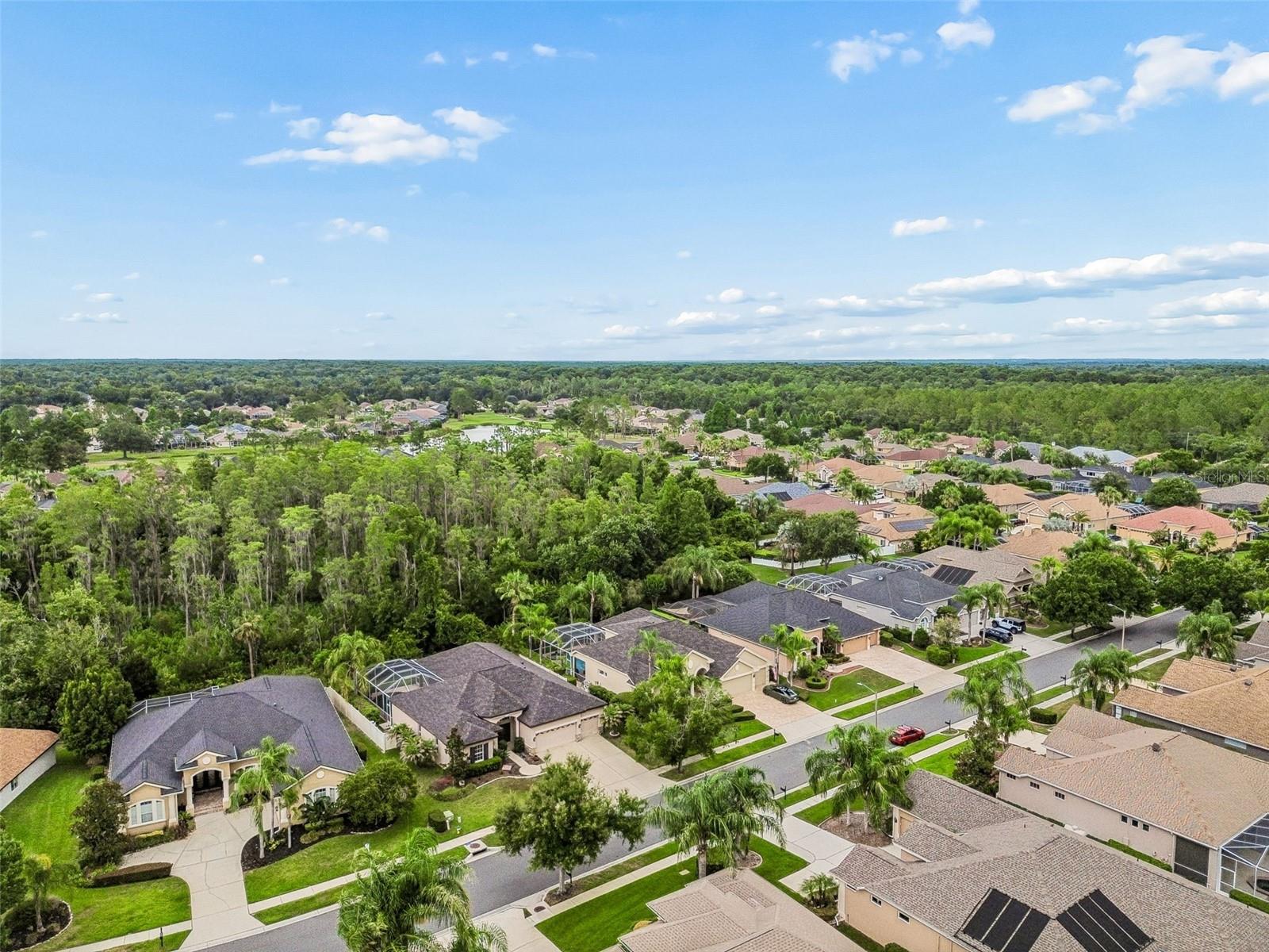 23305 GRACEWOOD CIR — photo 48