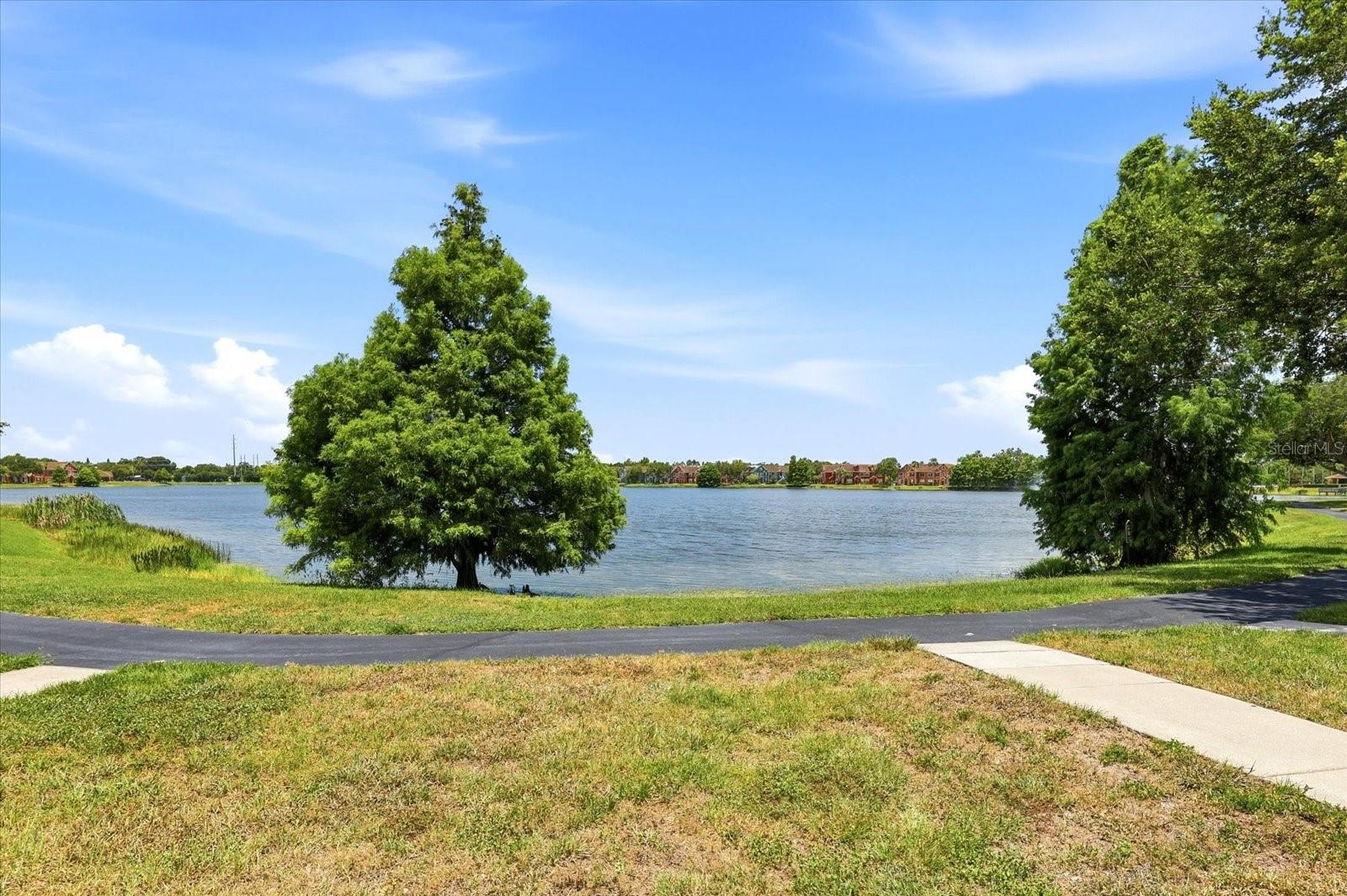 9256 LAKE CHASE ISLAND WAY — photo 7