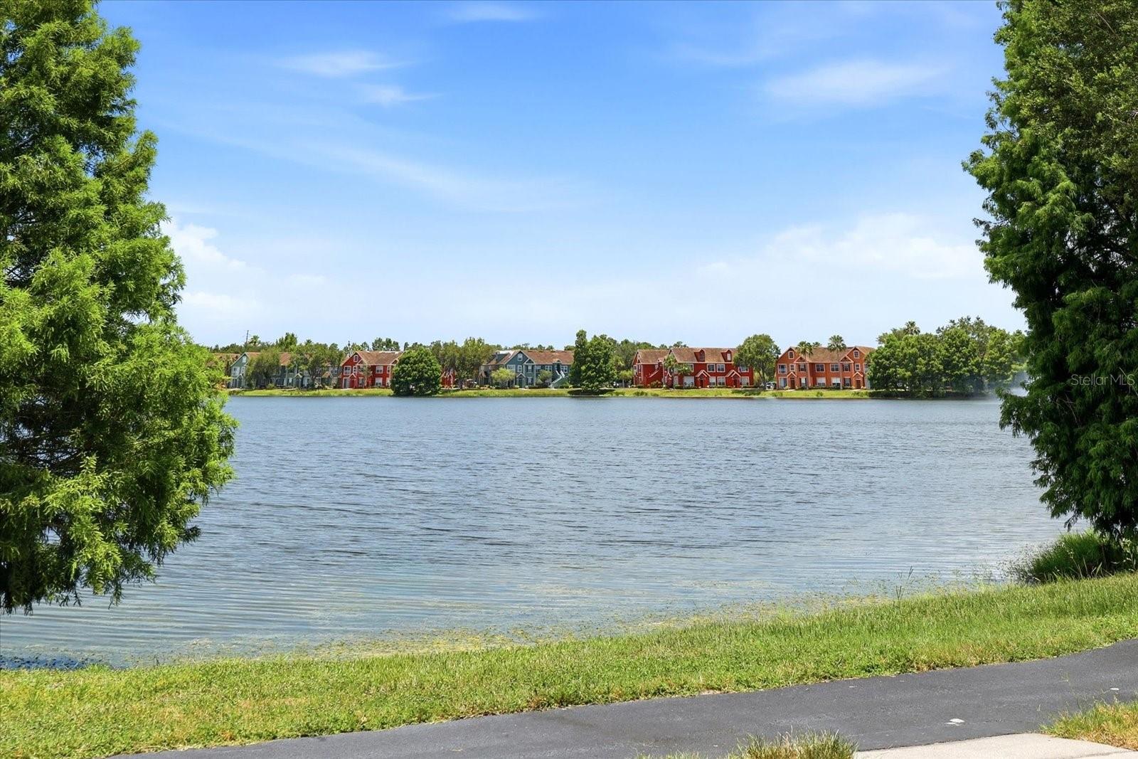 9256 LAKE CHASE ISLAND WAY — photo 8