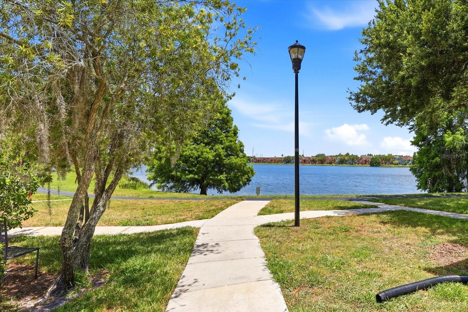 9256 LAKE CHASE ISLAND WAY — photo 5