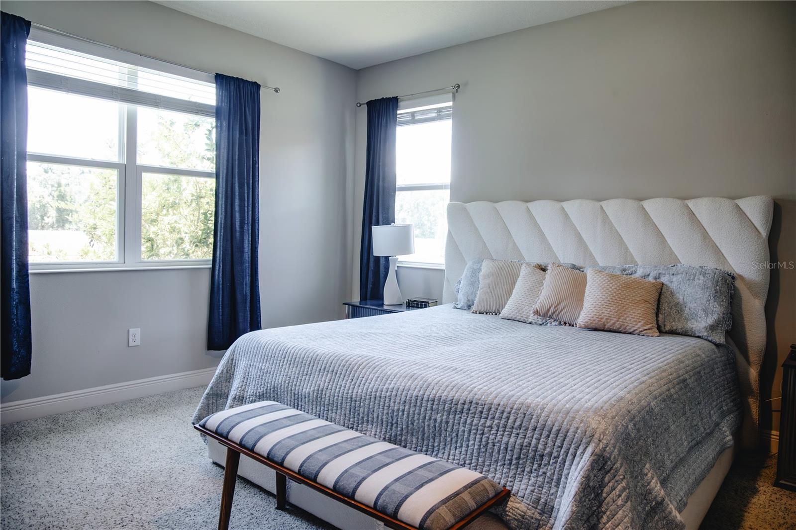 10452 LAGUNA PLAINS DR — photo 16