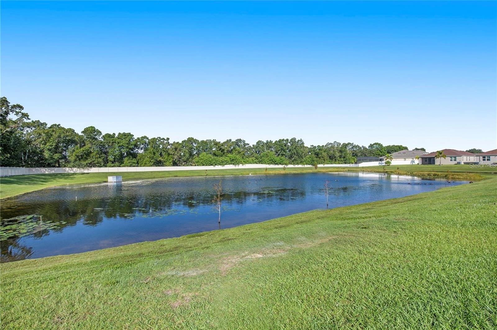 10452 LAGUNA PLAINS DR — photo 20