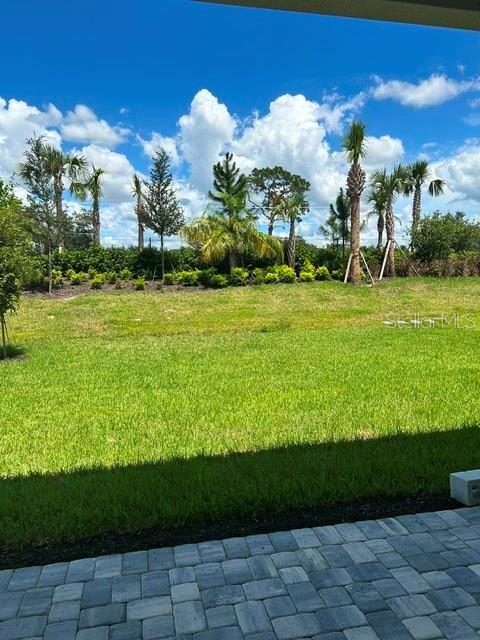 32630 NEROLI ST — photo 3